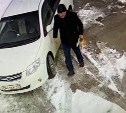 Незнакомец бросил двух котов на растерзание собакам у ворот сахалинского приюта