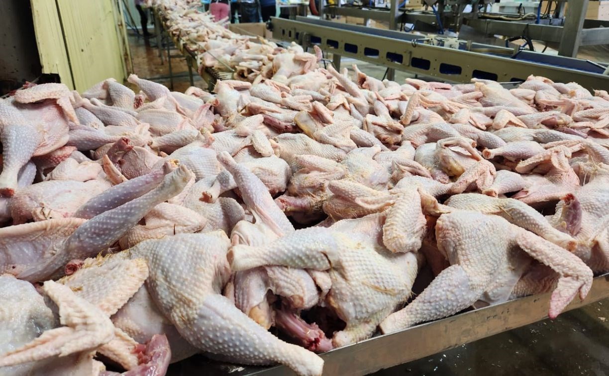 Сахалинская птицефабрика "Островная" возобновляет торговлю мясом птицы