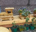Необычная клумба притягивает взгляды прохожих во дворе дома в Южно-Сахалинске
