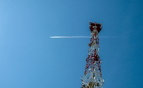 Общество