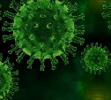 Коронавирус в Сахалинской области подтвердили у 10 человек