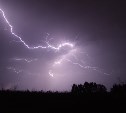 Молния на Сахалине пробила крышу и убила домашнюю собаку