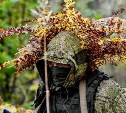 Разведчики на Сахалине осваивают приёмы маскировки в лесу