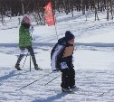 «Динамо» проведет чемпионат и первенство по спортивному ориентированию на лыжах   