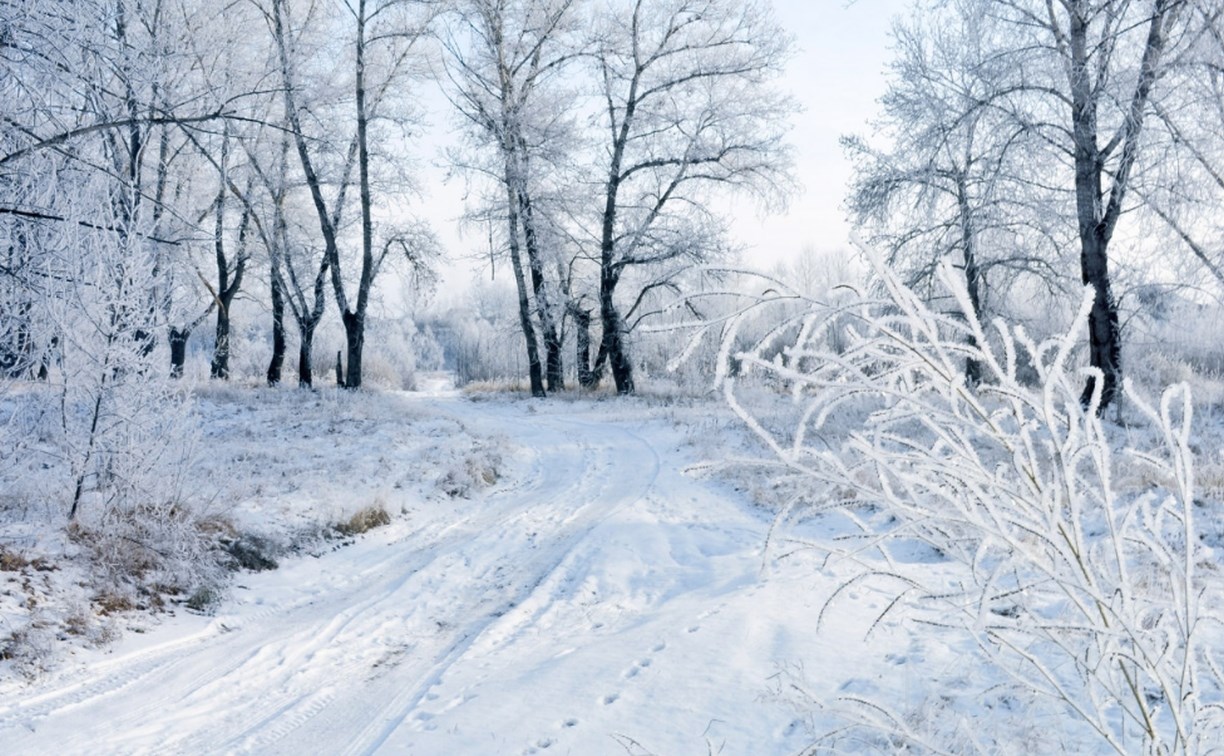 Курилам снег, Сахалину мороз: прогноз погоды для всех районов на 30 января