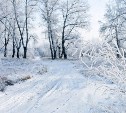 Курилам снег, Сахалину мороз: прогноз погоды для всех районов на 30 января