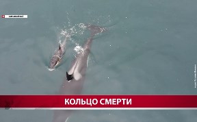 Происшествия