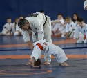 Трёхкратный чемпион мира по каратэ-киокусинкай провёл мастер-класс для юных сахалинцев