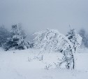 Снегопад, метель, штормовой ветер: на Сахалинскую область обрушится циклон