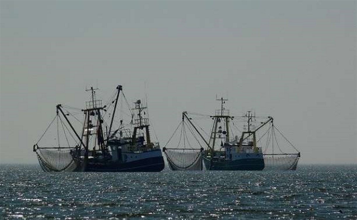 Миллион тонн рыбы и морепродуктов в год переработает порт Корсаков