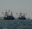 Миллион тонн рыбы и морепродуктов в год переработает порт Корсаков