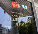 Депутат спросила, почему туалеты Сахалинской облдумы не приспособлены для инвалидов