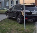 Владелец машины с госномером "ХАМ" попался на автохамстве в Южно-Сахалинске
