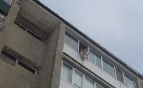 Происшествия