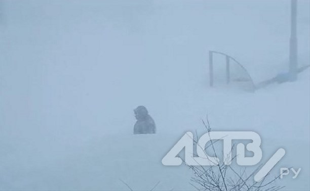 Сахалинские синоптики озвучили прогноз погоды на 25 января