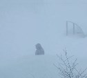 Сахалинские синоптики озвучили прогноз погоды на 25 января