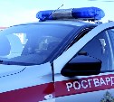 Сахалинец укусил росгвардейца за ногу во время задержания у ночного заведения