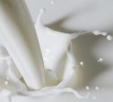 На базе совхоза «Южно-Сахалинский» планируют построить завод по переработке молока
