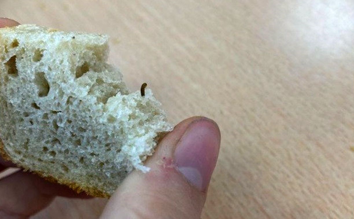На Камчатке дети нашли червяка в школьном хлебе