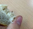 На Камчатке дети нашли червяка в школьном хлебе