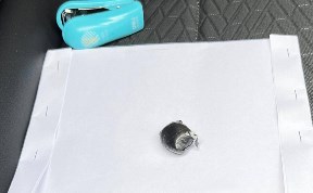 Происшествия