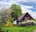 Опасность в земле: как не подхватить на даче смертельный столбняк
