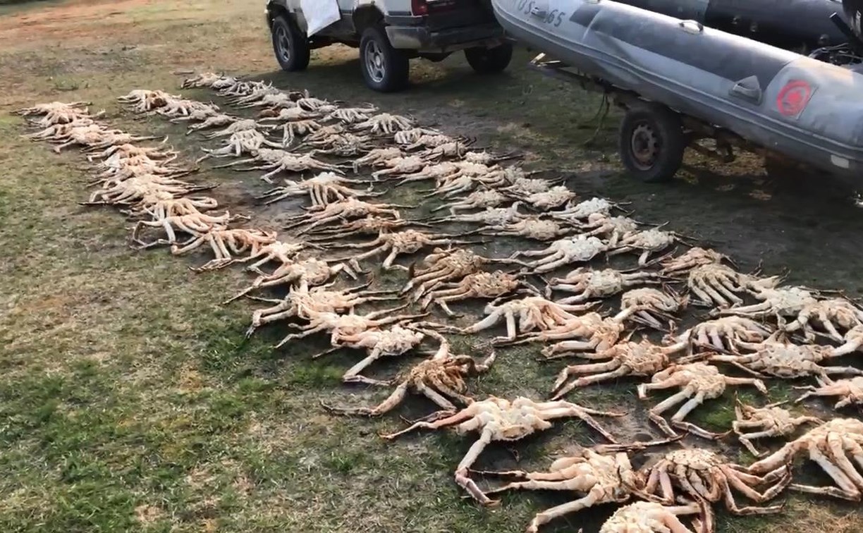Сотню крабов, сети и лодку изъяли пограничники у двух мужчин на юге Сахалина
