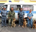 Оружие и наркотики "нашли" собаки в сахалинском театре (ФОТО)