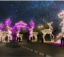 Как осветить город к Новому году решили в Южно-Сахалинске