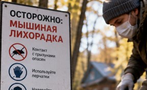 Общество