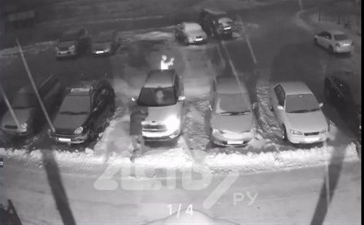 Неизвестные булыжниками разбили стёкла машины в Корсакове