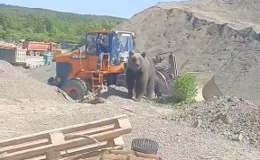 Общество