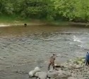 Видео дня: невозмутимые мужчины и медведи на Сахалине рыбачат вместе на речке