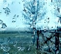 Потепление до -2 градусов спрогнозировали на юге Сахалина