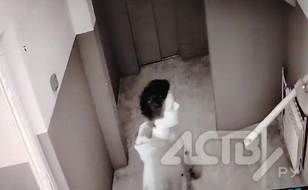 На Сахалине хулиганы пытались вырвать перила в подъезде и пинали двери — видео