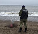Труп мужчины выбросило на берег моря на Сахалине