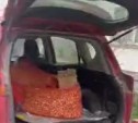 Южносахалинка зафиксировала на видео мужчину, который припарковался на тротуаре