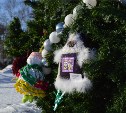 Главную елку сахалинского зоопарка украсили мягкие игрушки, сделанные детьми