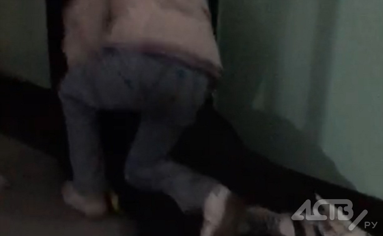 Избиение девушки в подъезде воронежской многоэтажки попало на видео