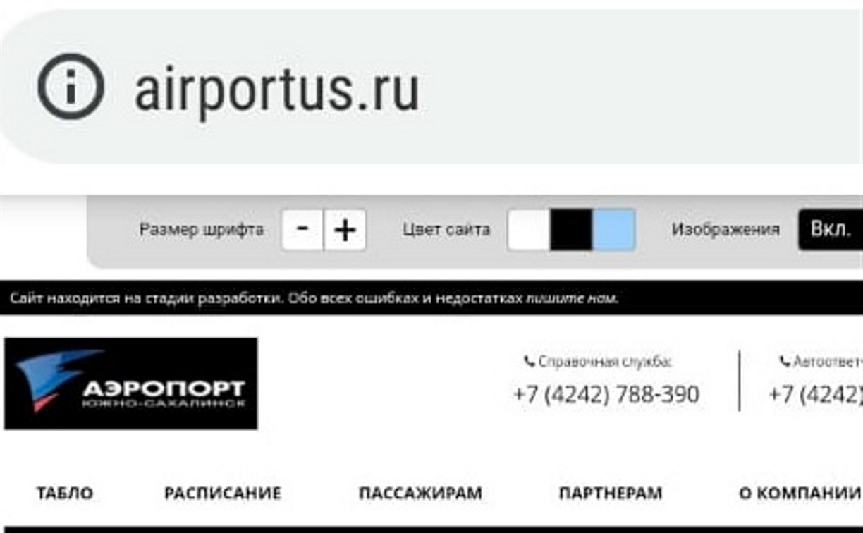 У сайтов аэропортов Сахалинской области появились версии для слабовидящих