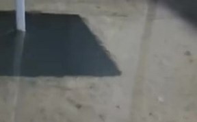 Общество