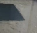 Жительница Южно-Сахалинска пожаловалась на воду в подвале и плесень в квартире