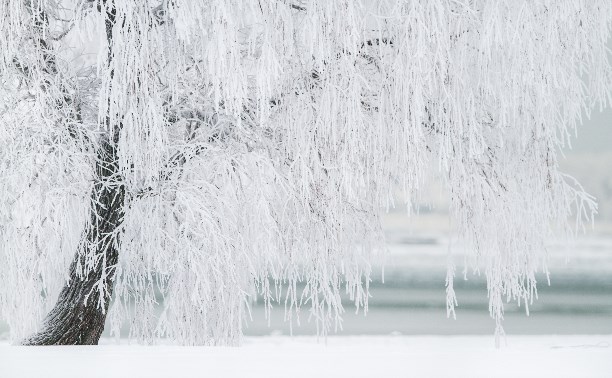 Метель и потепление: прогноз погоды для каждого района Сахалинской области на 11 января
