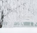 Метель и потепление: прогноз погоды для каждого района Сахалинской области на 11 января