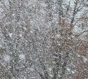 Дорогу для автобусов закрыли на Сахалине из-за метели