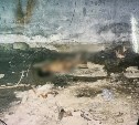 Жестокое убийство после Дня города в Холмске раскрыли спустя 25 лет