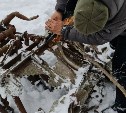 Поисковики на снегоходе вывезли из леса фрагмент разбившегося бомбардировщика