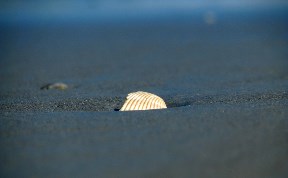 Происшествия