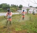 В Корсаковском районе убирают борщевик