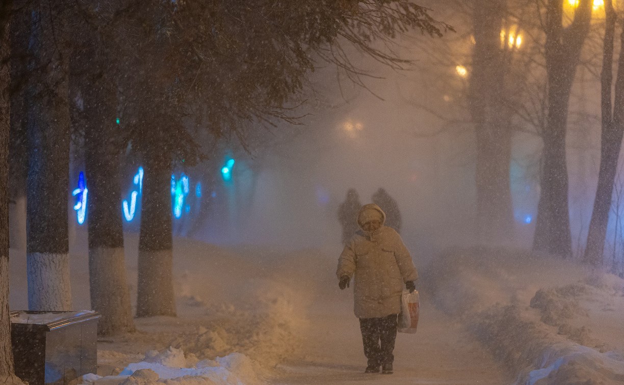 Небольшую вьюгу спрогнозировали на юге Сахалина